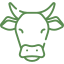 Happy cows