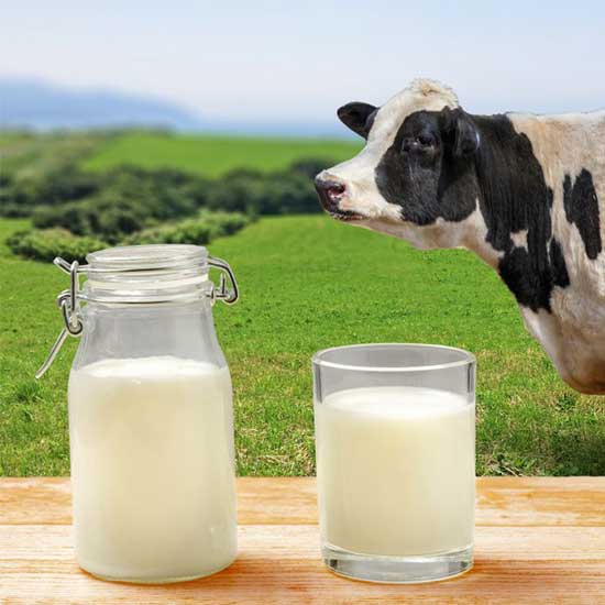 A2 Heritage Milk